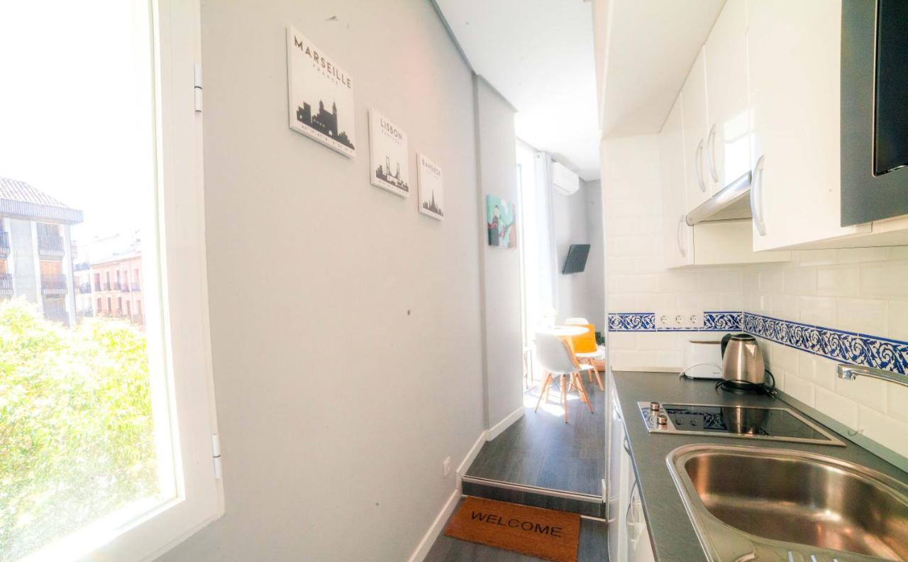 Apartments Madrid Plaza Mayor-Tintoreros Екстер'єр фото